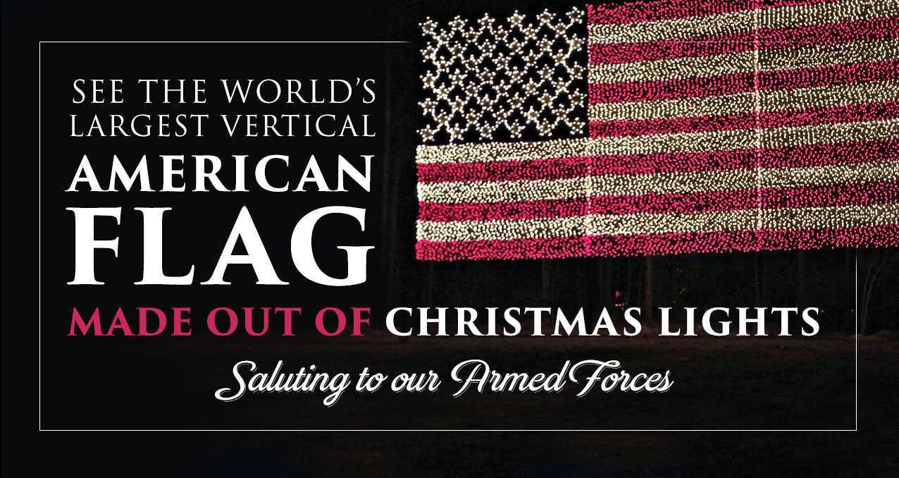 [American Flag Lights]